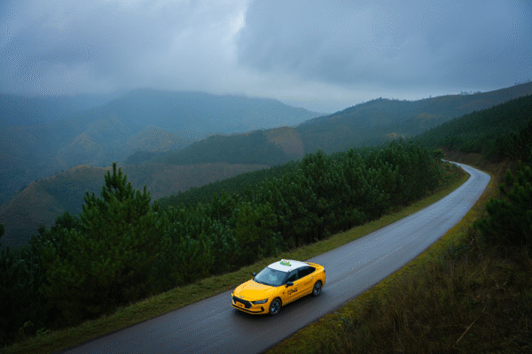 Tổng Đài Taxi Đức Trọng